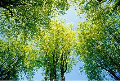 《高殿战记》玩法更新现已上线！接下来更值得期待